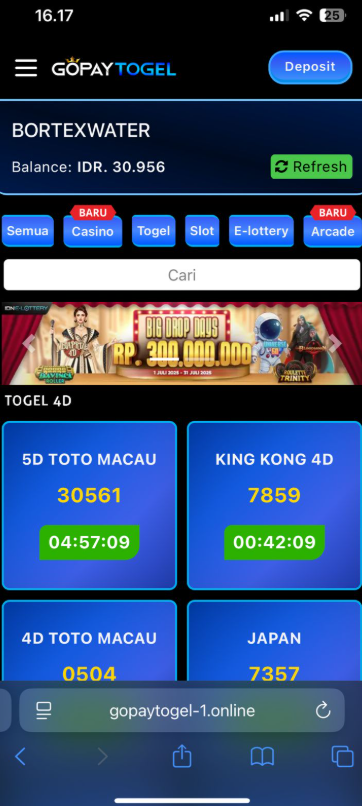 Screenshot-2025-07-24-163030.png